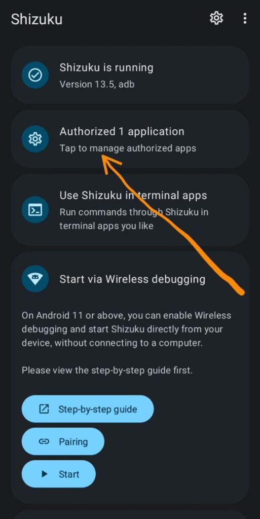 Check authorized applications