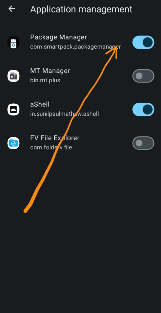 Package Manager permission enabled