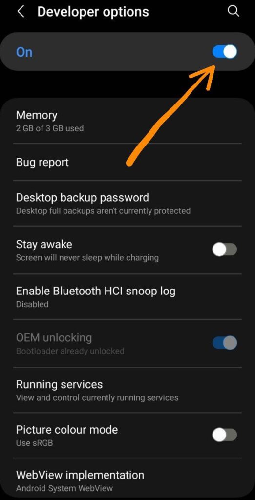 Developer Options enabled