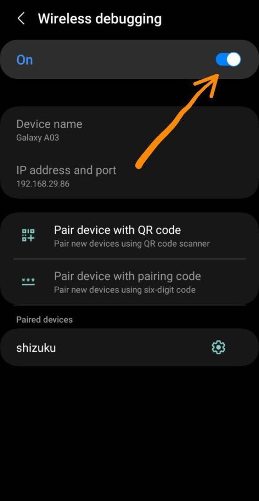 Go to Developer Options