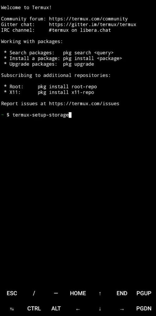 Storage permission command